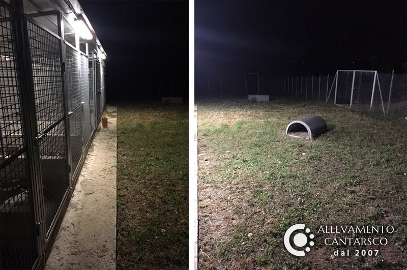Box esterni Cantarsco illuminati di notte e recinto sul prato con galleria per il gioco