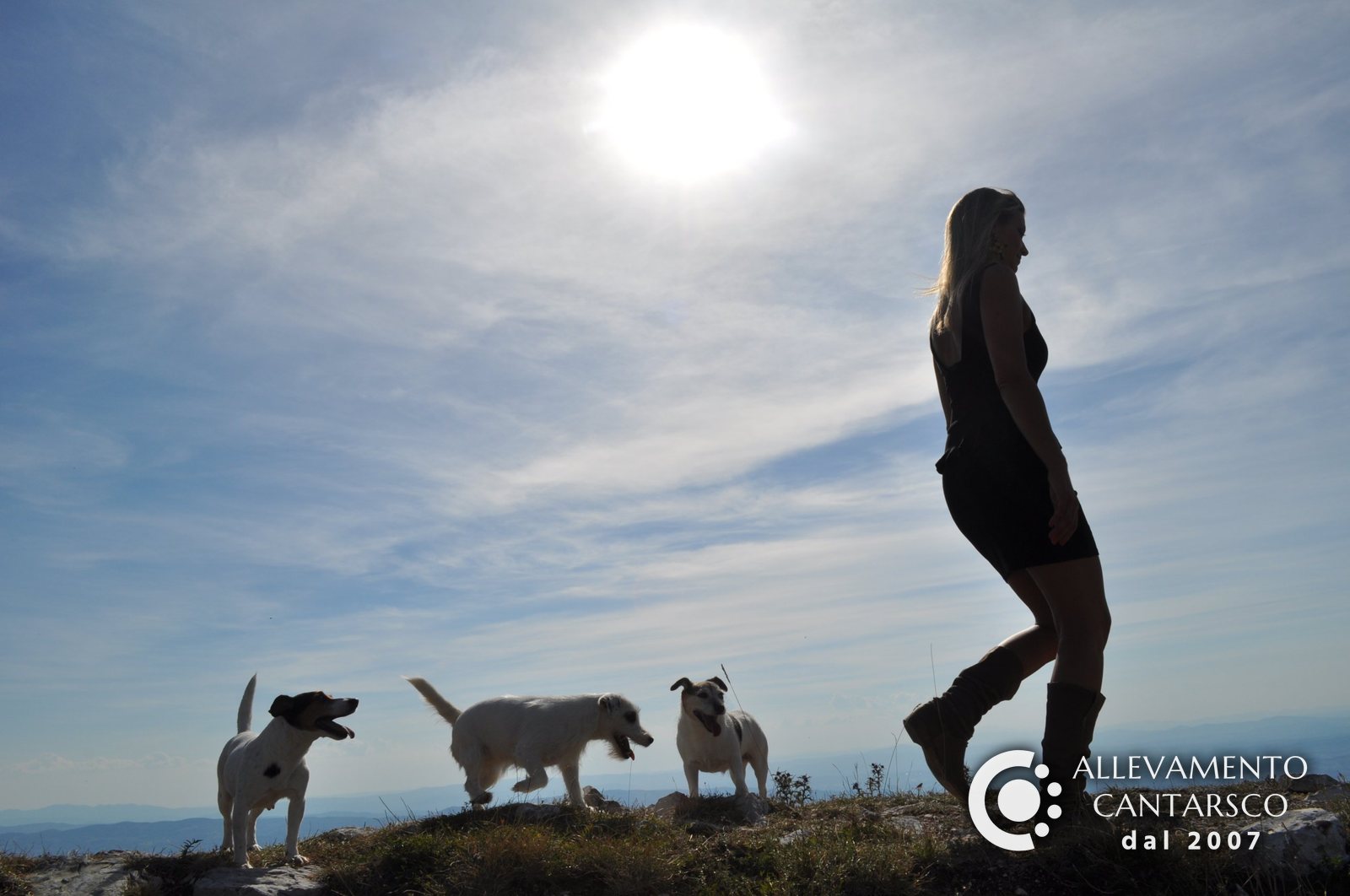 Una ragazza cammina in cima alla montagna con tre Jack Russell Cantarsco, controluce