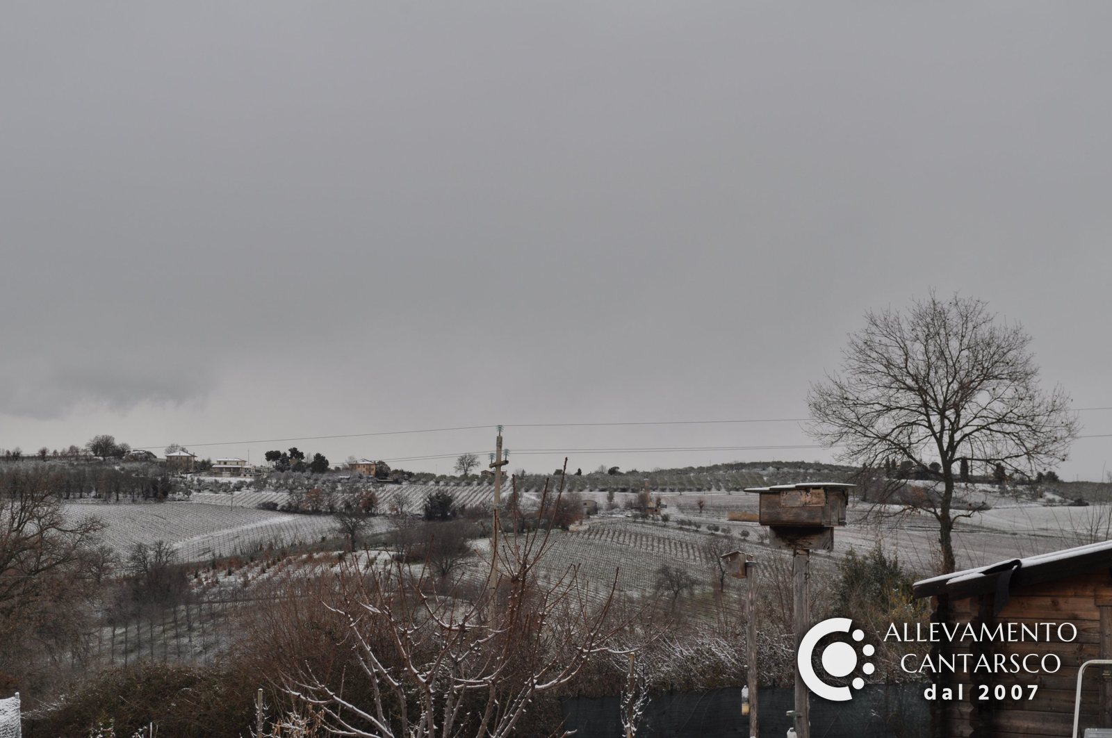 Matur sotto la neve: nidi artificiali per gli uccelli, casetta in legno e colline di Montefalco
