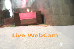 WEBCAM LIVE
